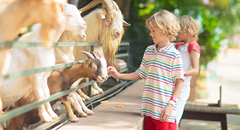 Children smile on a school field trip